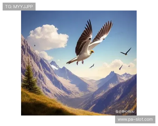 风暴中心的逆袭之路：如何在质疑声中崭露头角并超越自我