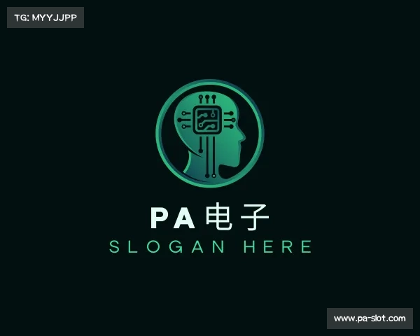 解读PA电子